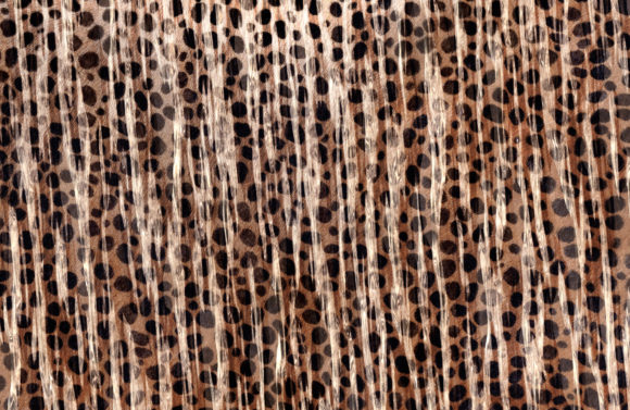 Wild Elegance: Using Abstract Animal Skin Backgrounds